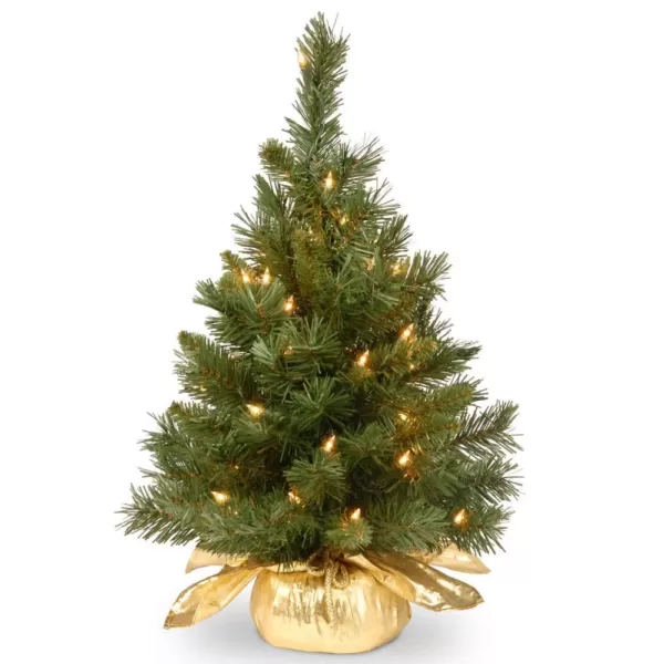 National Tree Company 24 in. Majestic Fir Tree with Clear Lights