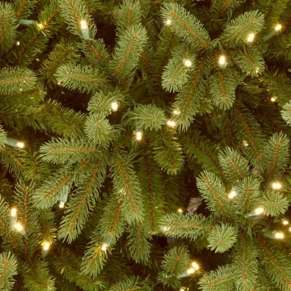 National Tree Company 12 ft. Jersey Fraser Fir Tree with Clear Lights