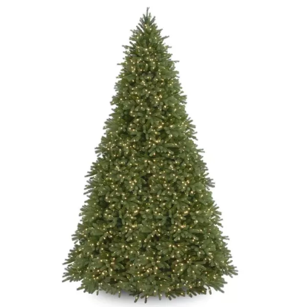 National Tree Company 12 ft. Jersey Fraser Fir Tree with Clear Lights