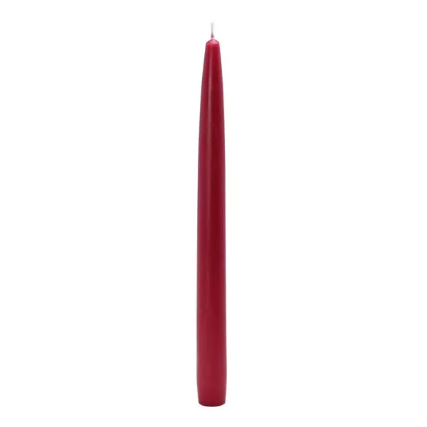 Zest Candle 10 in. Red Taper Candles (12-Set)