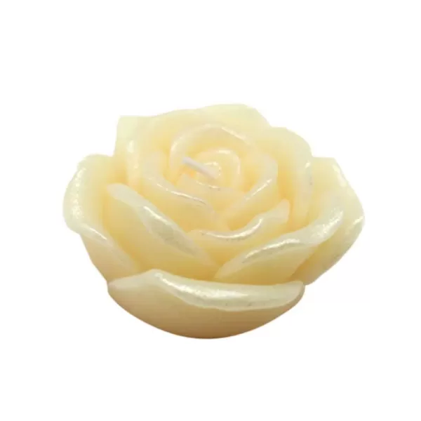 Zest Candle 3 in. Ivory Rose Floating Candles (12-Box)